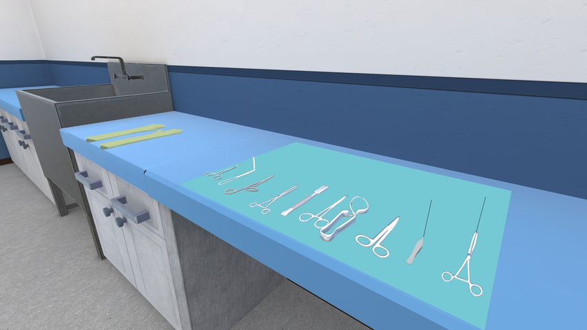 VetSkill Equine OSCE Practise Stations