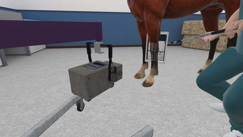 VetSkill Equine OSCE Practise Stations