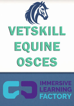 VetSkill Equine OSCE Practise Stations