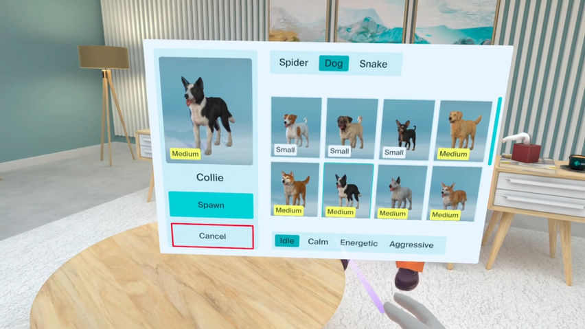 Doxy.me VR