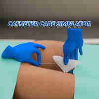 Catheter Care Simulator