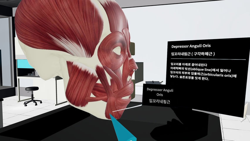 AS-Head&Neck