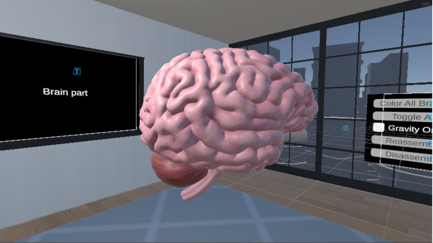 Human Brain Time