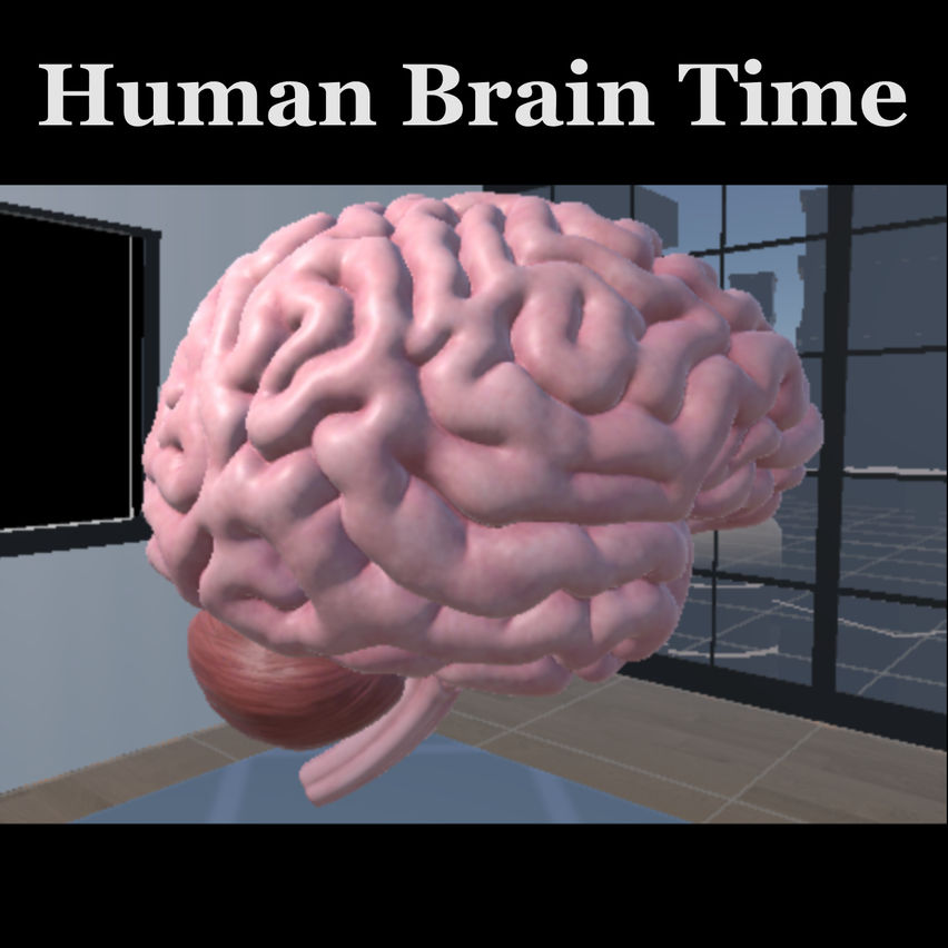 Human Brain Time