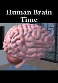 Human Brain Time