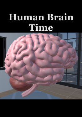 Human Brain Time