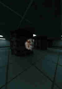 TerrifiedChimps
