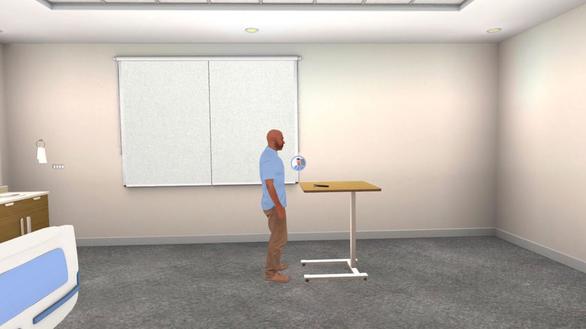 Ear Symptom Investigation Simulator