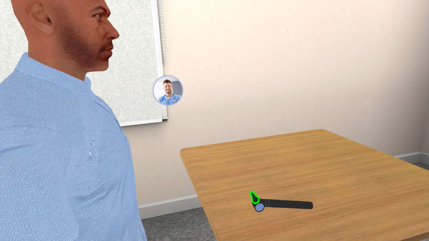 Ear Symptom Investigation Simulator