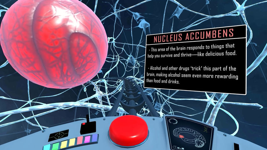Alcohol and Your Brain - A Rollercoaster Ride Through Your Brain - NIAAA/NIH