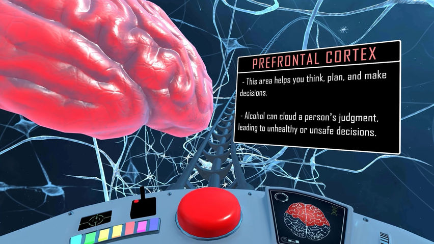 Alcohol and Your Brain - A Rollercoaster Ride Through Your Brain - NIAAA/NIH