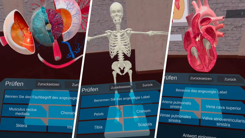 VR Anatomy Lab