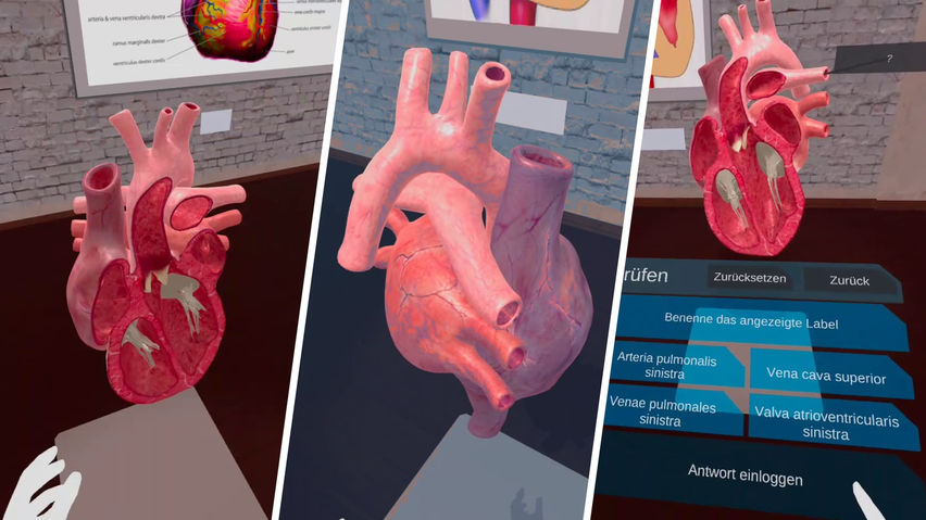 VR Anatomy Lab