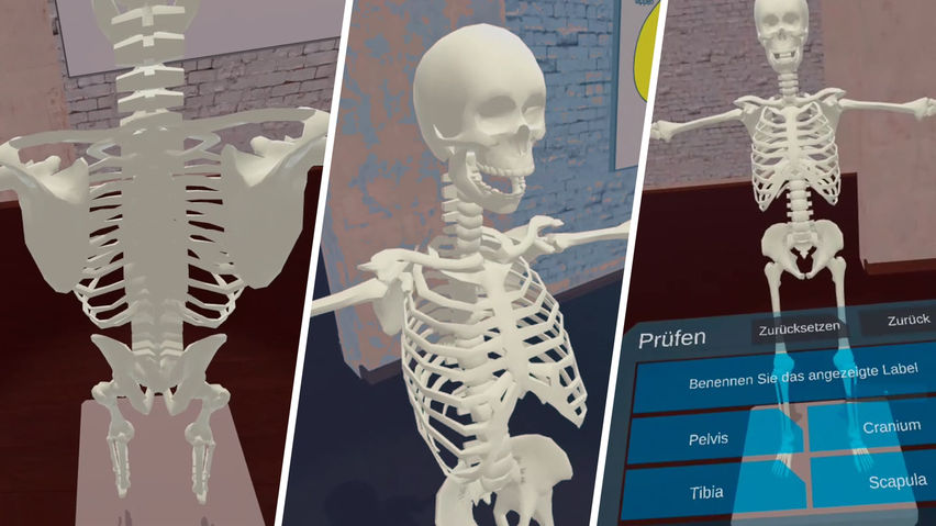 VR Anatomy Lab