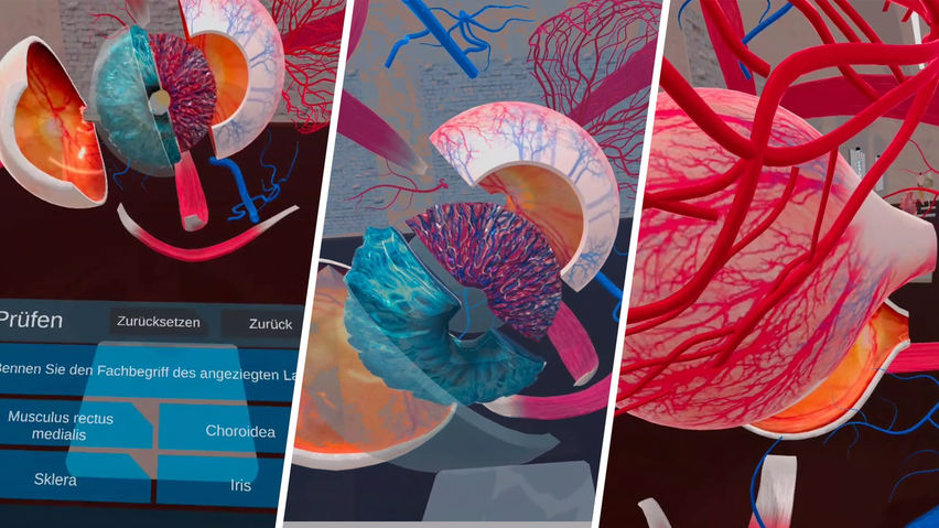 VR Anatomy Lab