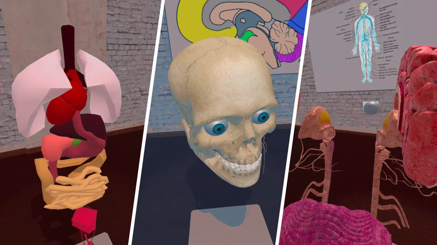 VR Anatomy Lab
