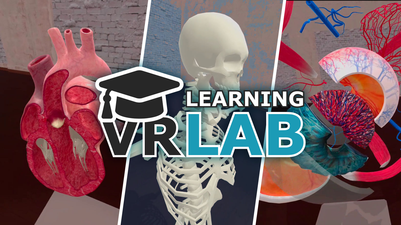 VR Anatomy Lab