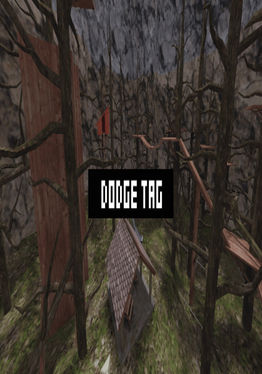 Dodge Tag