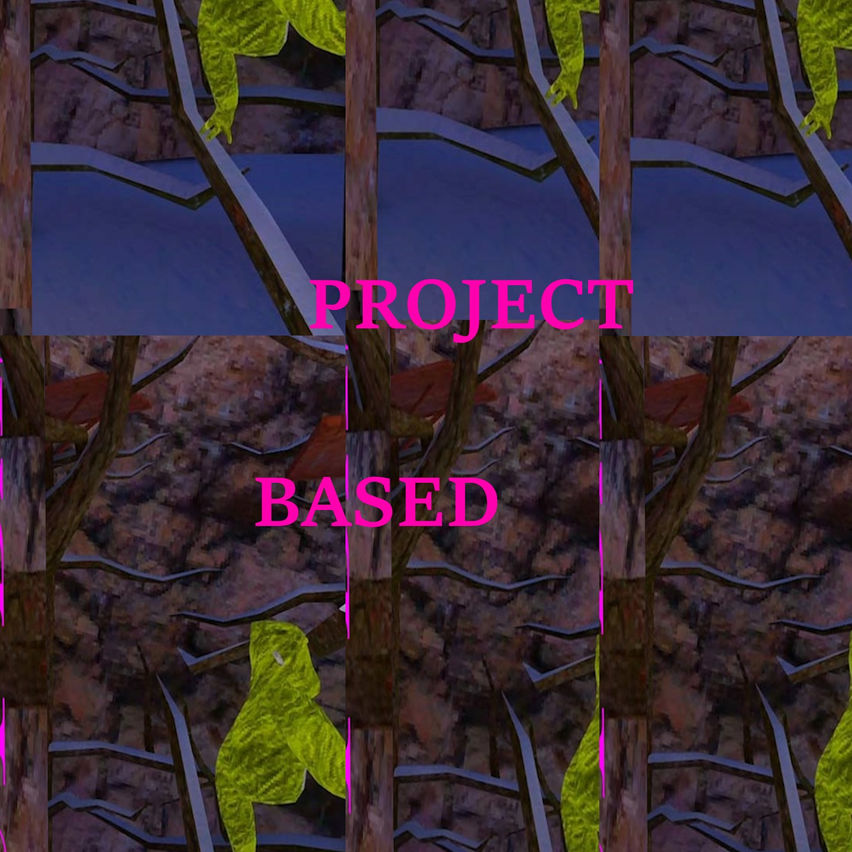 Project Based