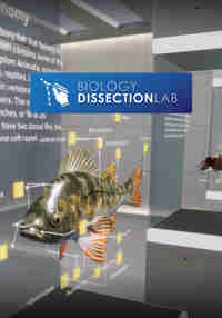 Biology Dissection Lab