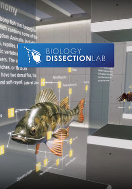 Biology Dissection Lab