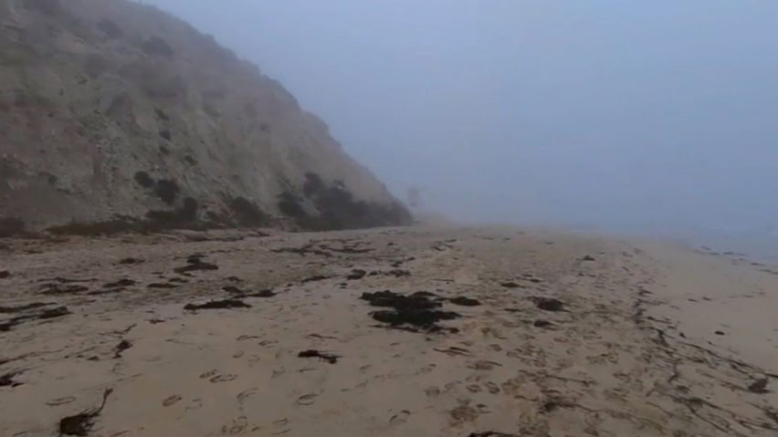 Foggy California Beach - VR Backgrounds