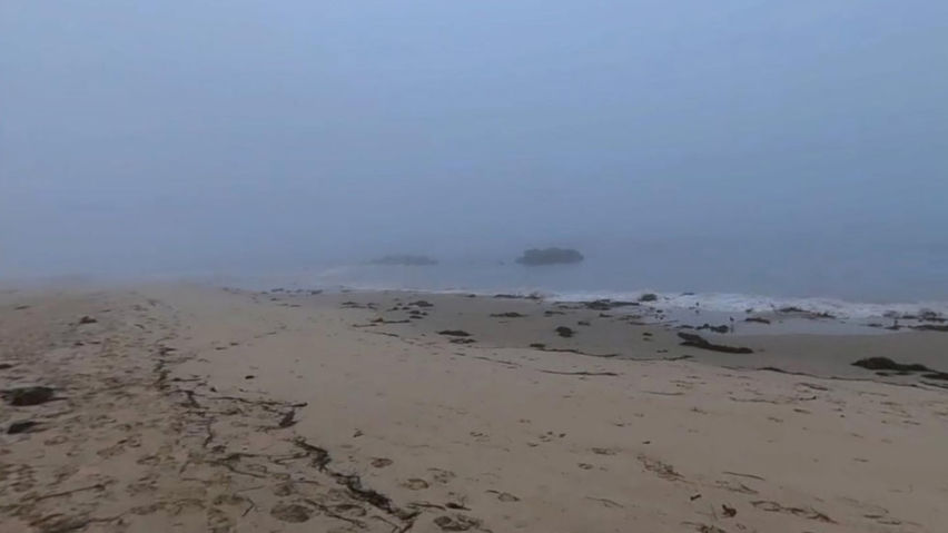 Foggy California Beach - VR Backgrounds