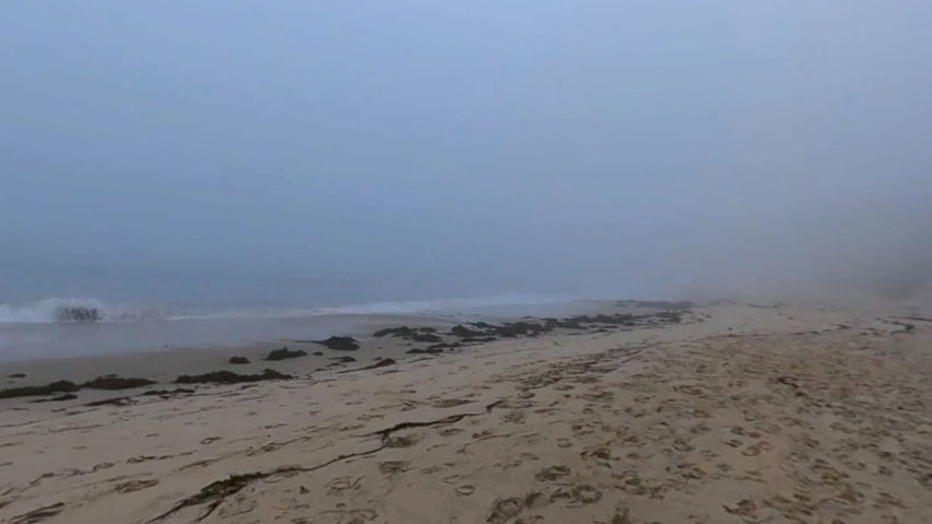 Foggy California Beach - VR Backgrounds