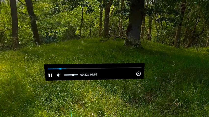 Ark Immersive Player