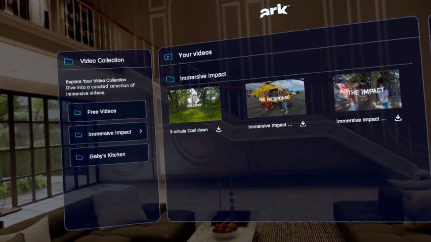 Ark Immersive Player