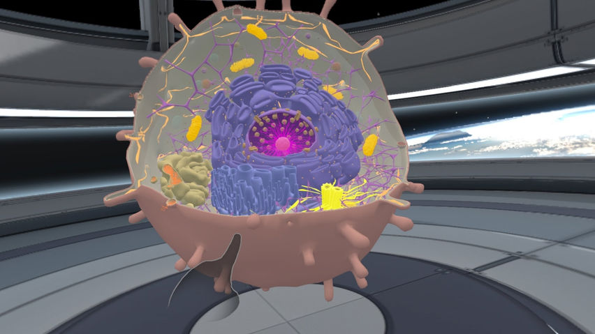 Cellular Safari