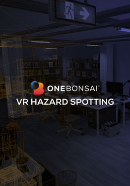 Hazard Spotting