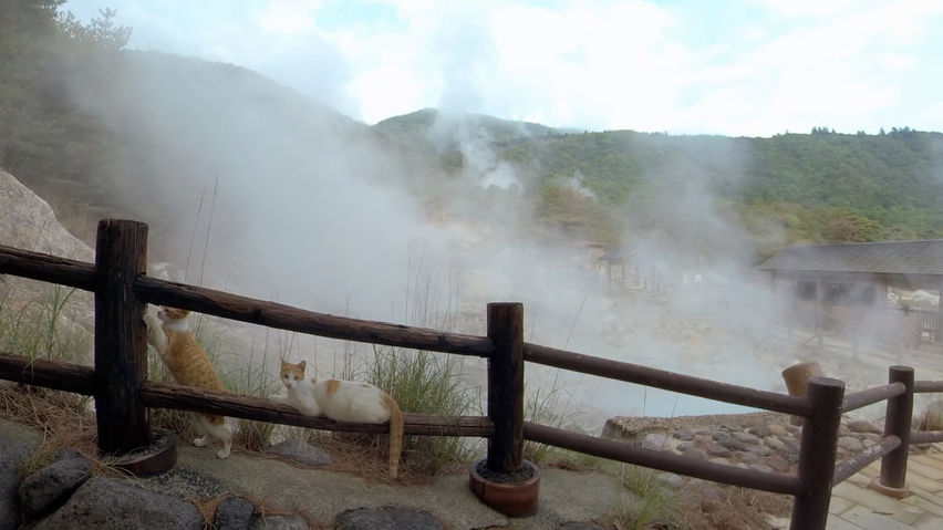 Kyushu VR