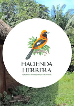 HACIENDA HERRERA RV