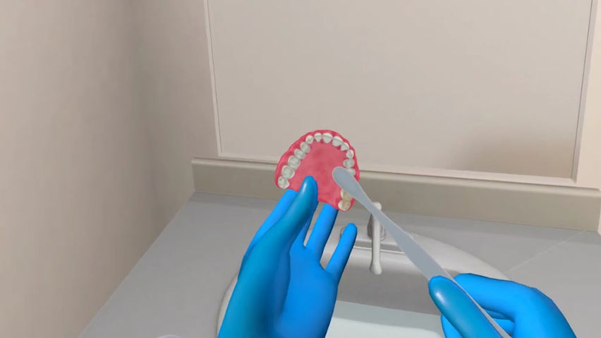 Denture Care Simulator