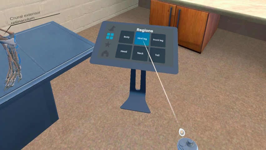 VET VR Anatomy Demo