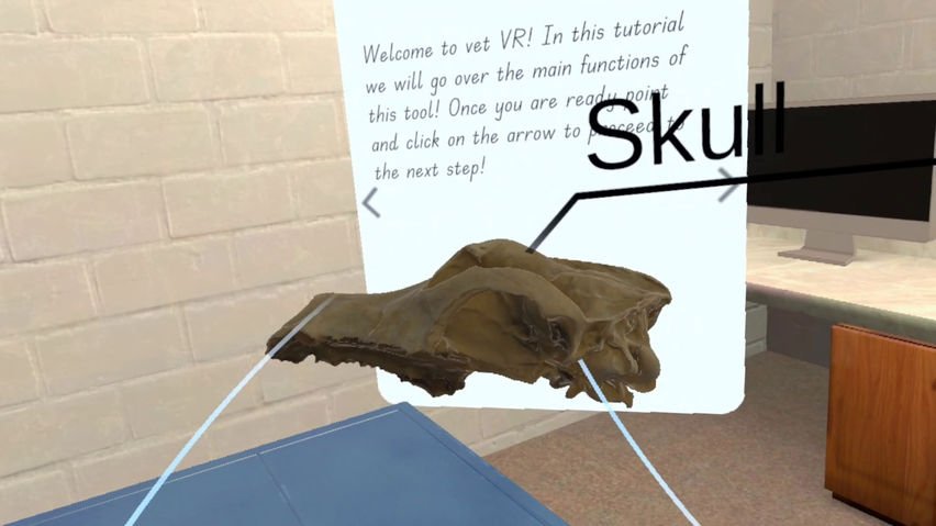 VET VR Anatomy Demo