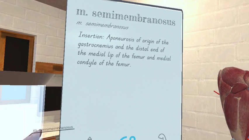 VET VR Anatomy Demo