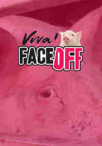 Viva! Face Off