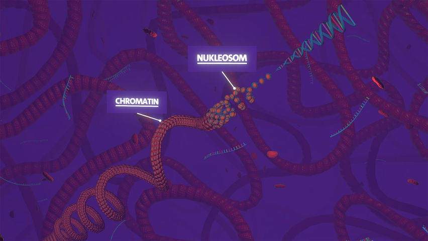 Body Cell VR