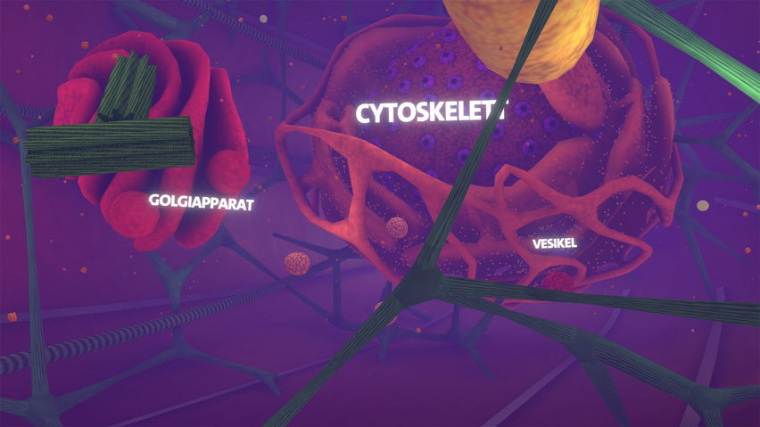 Body Cell VR