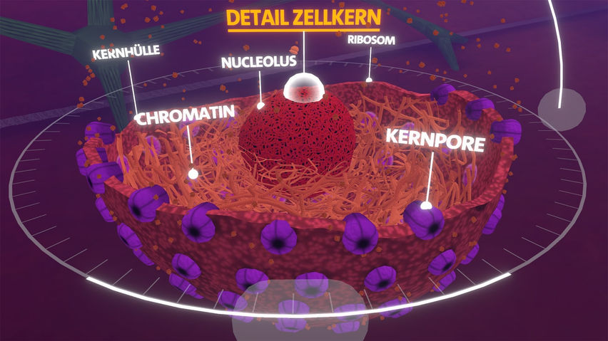 Body Cell VR