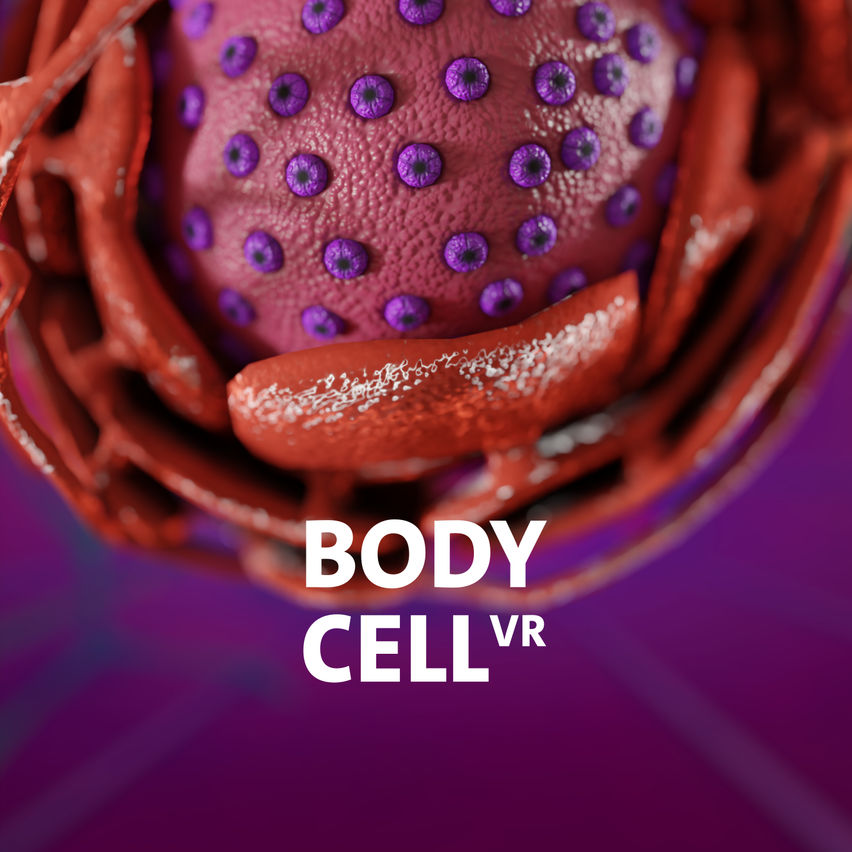 Body Cell VR