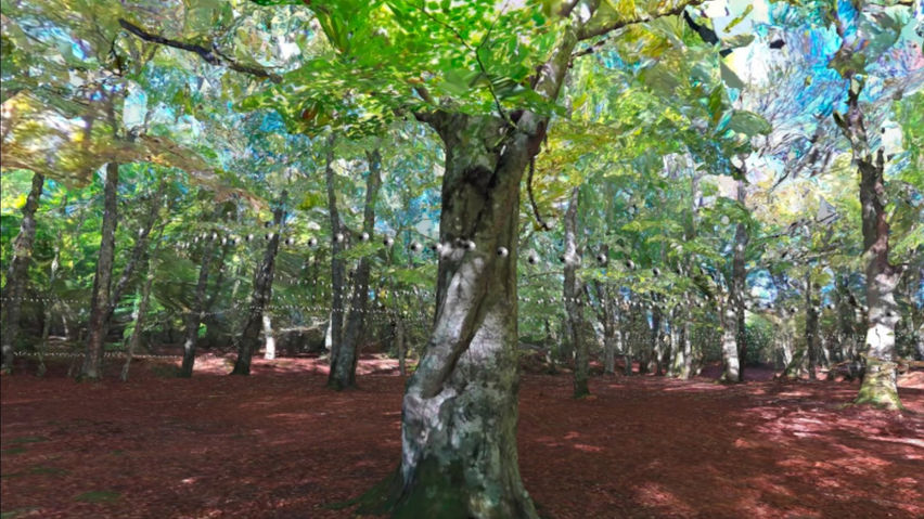 3D scan of a forest