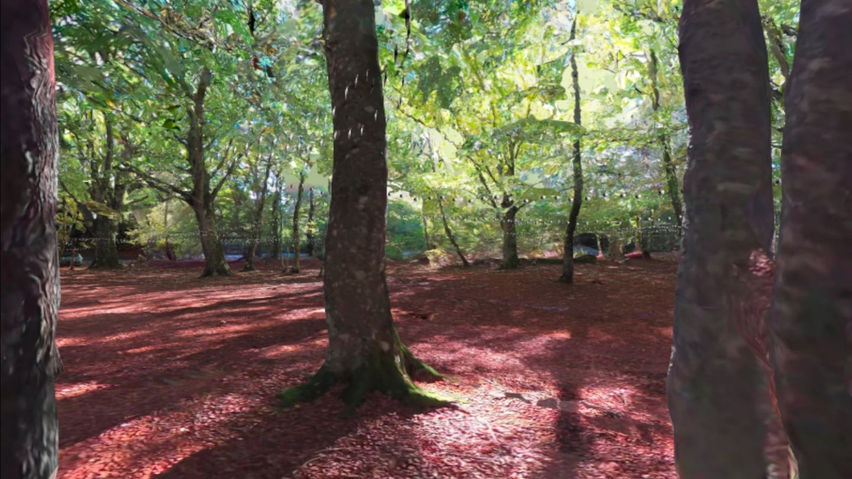3D scan of a forest