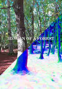 3D scan of a forest