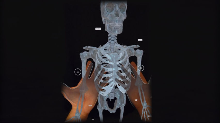 XR Anatomy