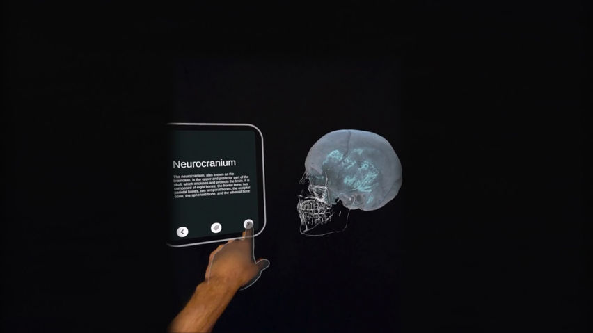 XR Anatomy