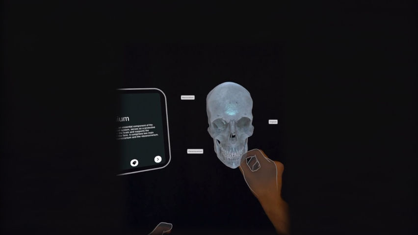 XR Anatomy