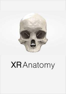 XR Anatomy